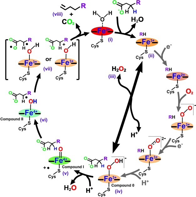 Figure 2.