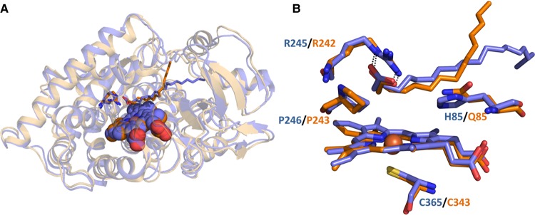 Figure 4.