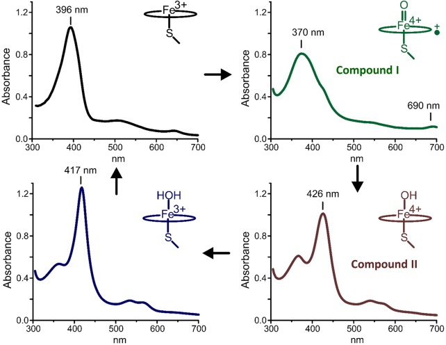 Figure 6.