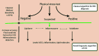 Fig. (2)