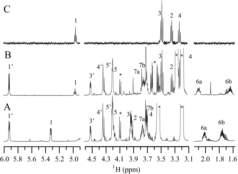 FIGURE 6.