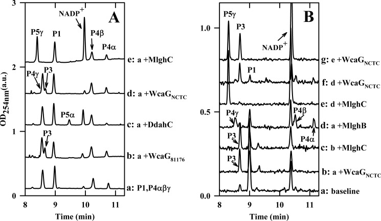 FIGURE 4.