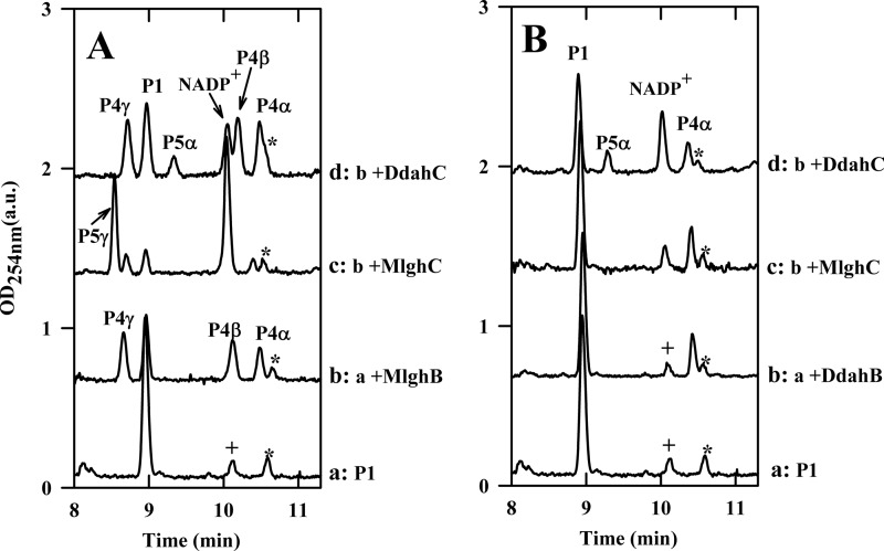 FIGURE 3.