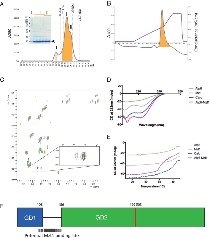 FIGURE 6: