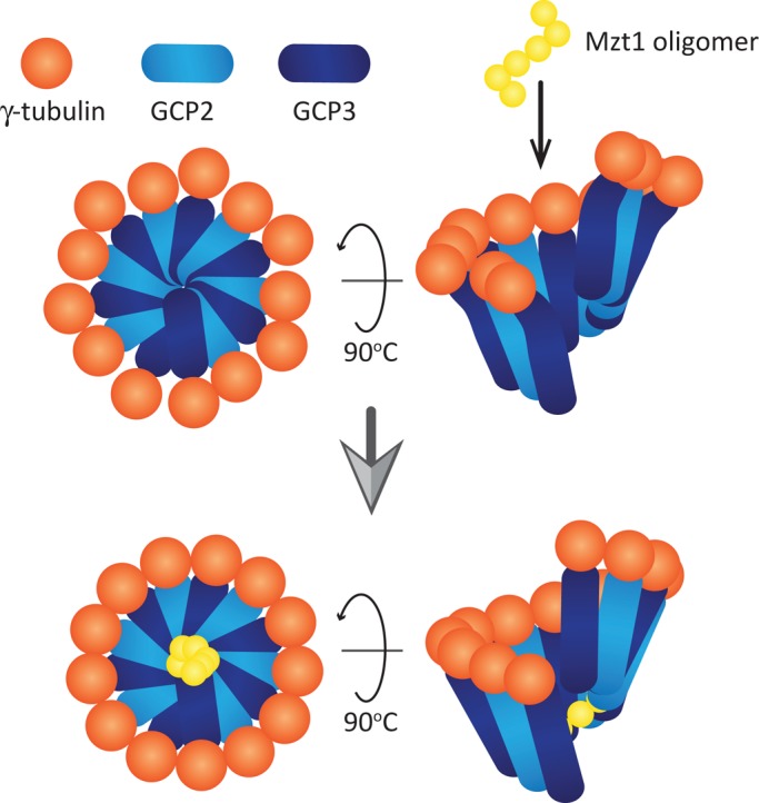 FIGURE 7: