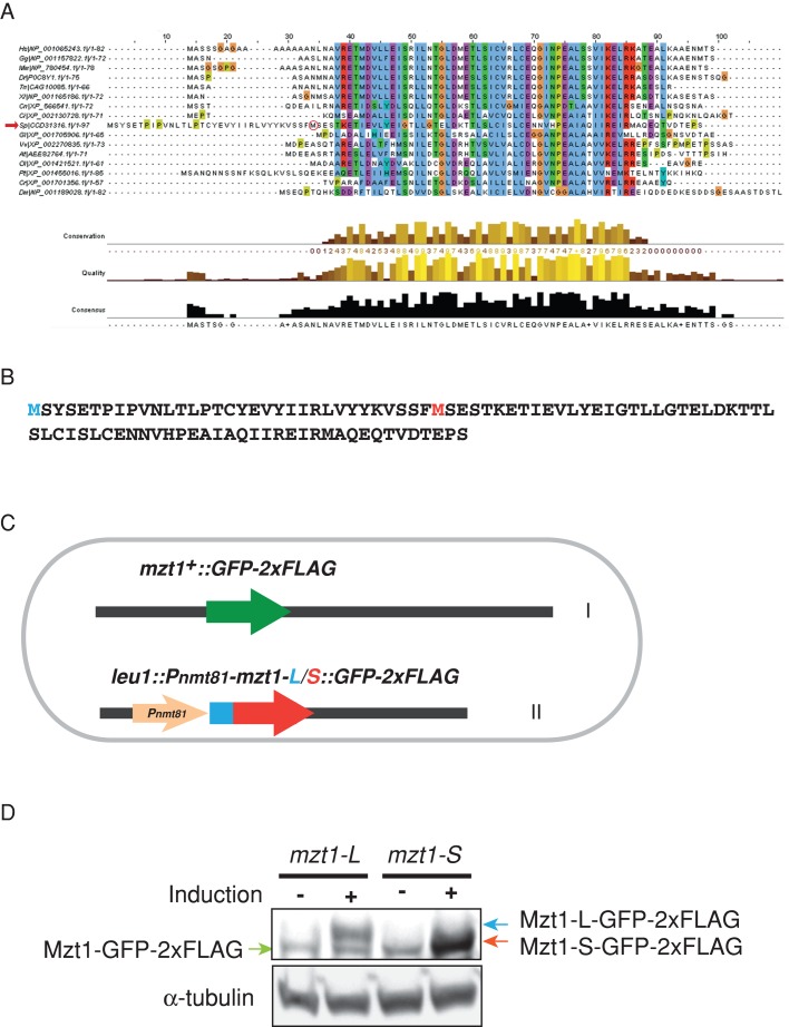 FIGURE 1: