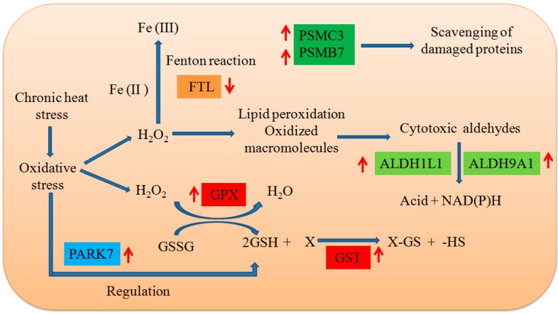 Figure 15