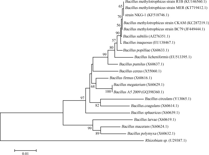 Fig 2