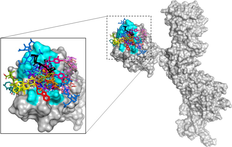 Figure 6.