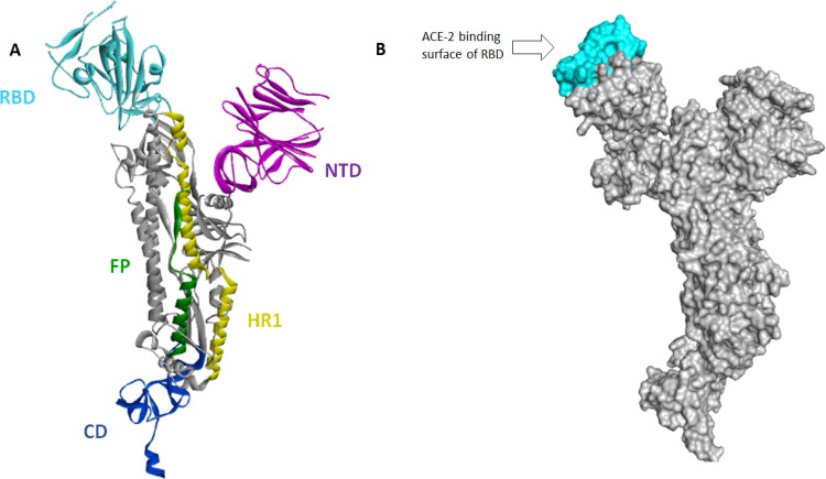 Figure 5.