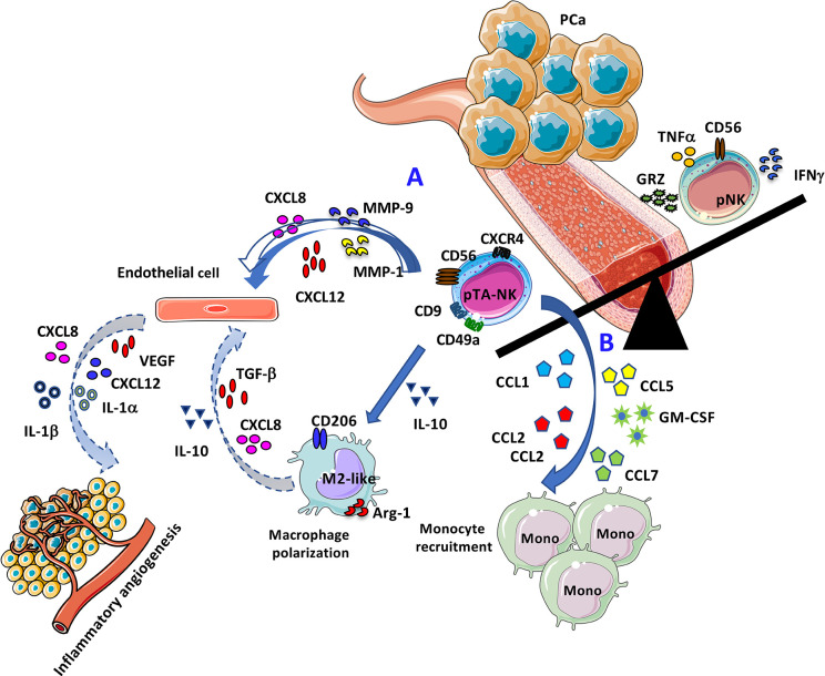 Graphical Abstract