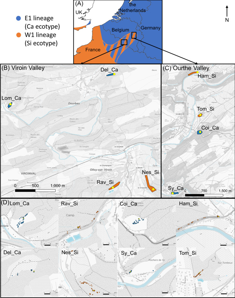 Figure 1