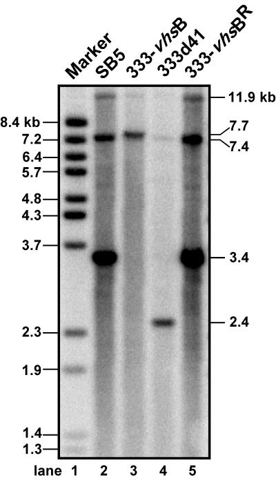 FIG. 2.