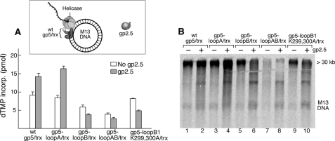 FIGURE 5.