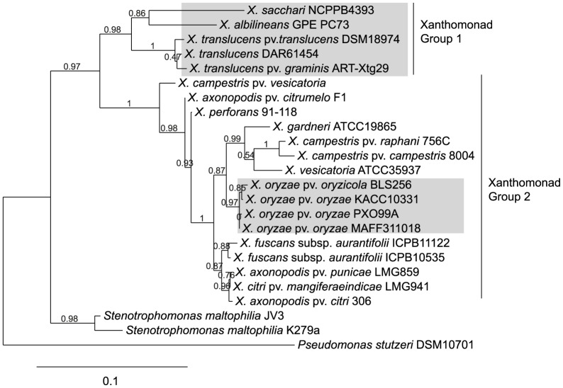 Figure 2