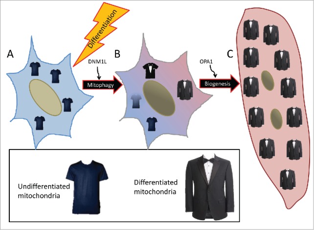 Figure 10.