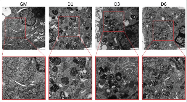 Figure 6.