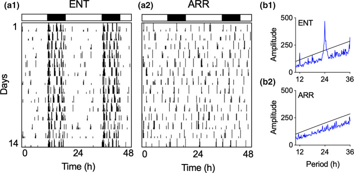 FIGURE 1