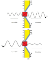 Figure 12