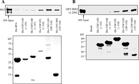 FIG. 5.