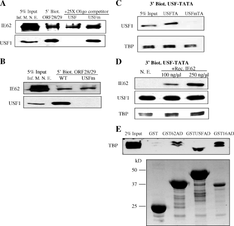 FIG. 7.