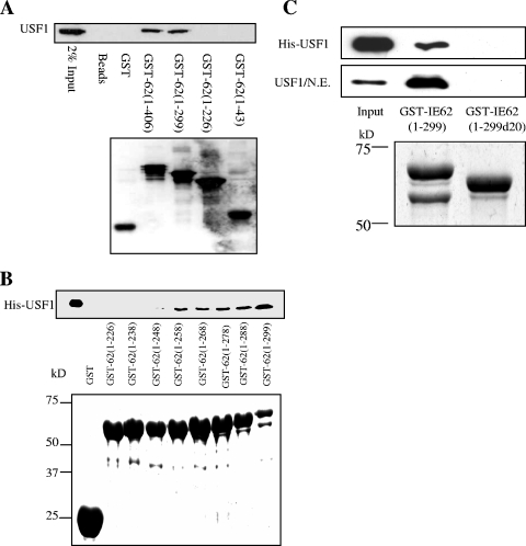 FIG. 4.