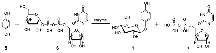 Scheme 3