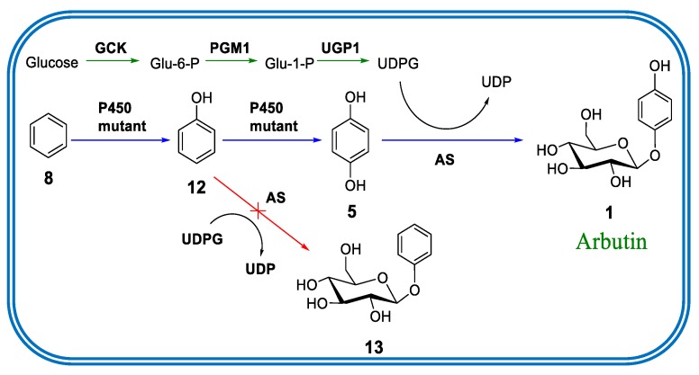 Figure 5