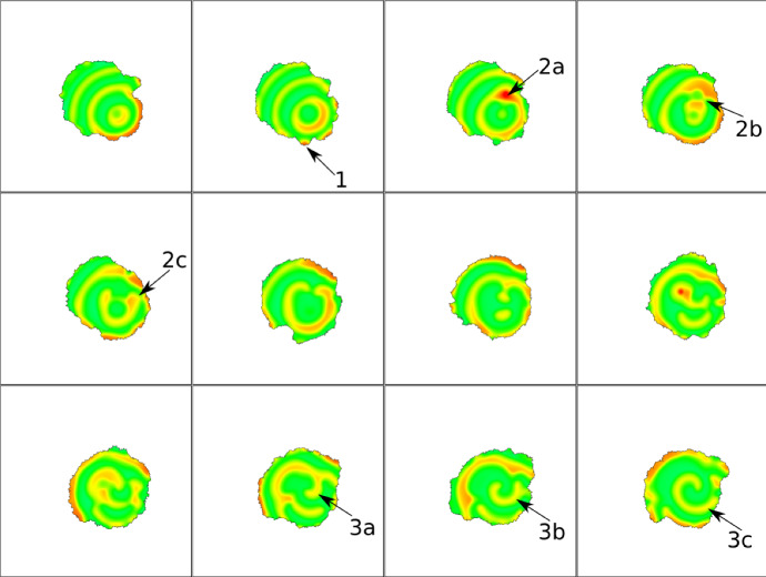 Fig. 18