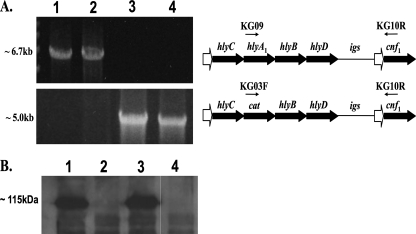 FIG. 2.