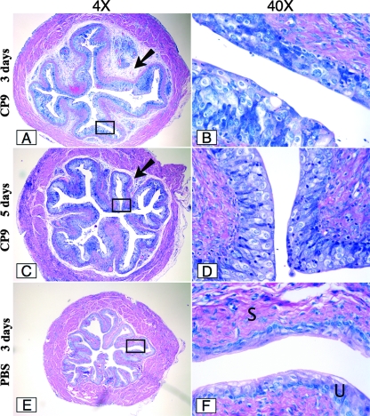 FIG. 7.