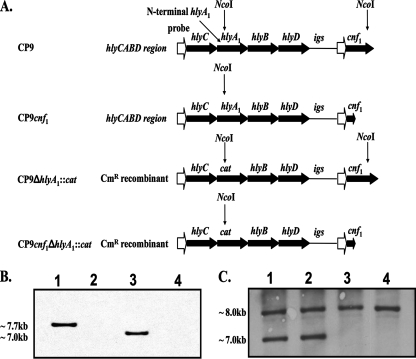 FIG. 1.