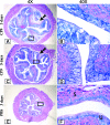 FIG. 7.