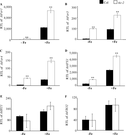 FIGURE 4.