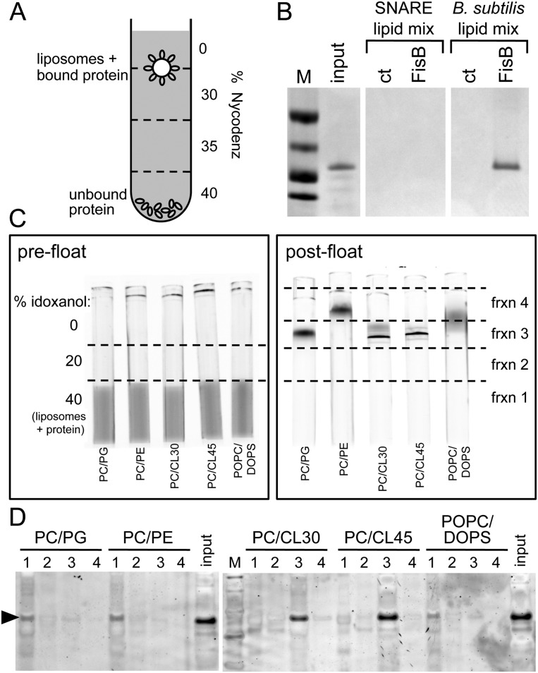 Figure 5.