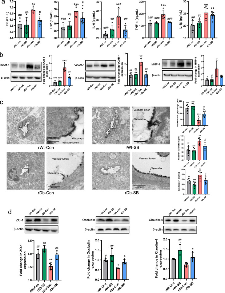 FIG 6