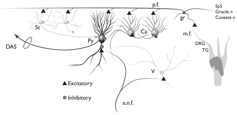 Fig. 9