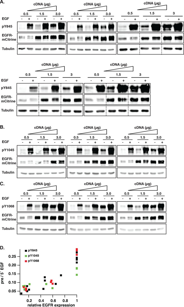 Figure 1—figure supplement 2.