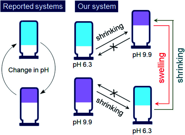 graphic file with name d1sc02854e-ga.jpg