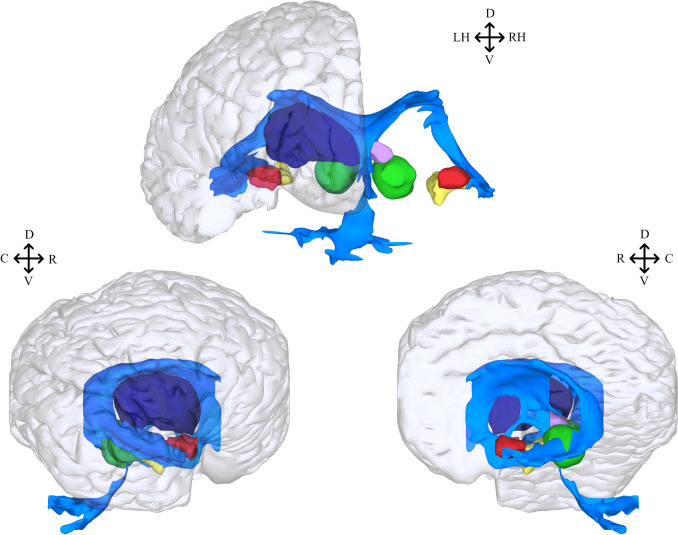 Fig. 7