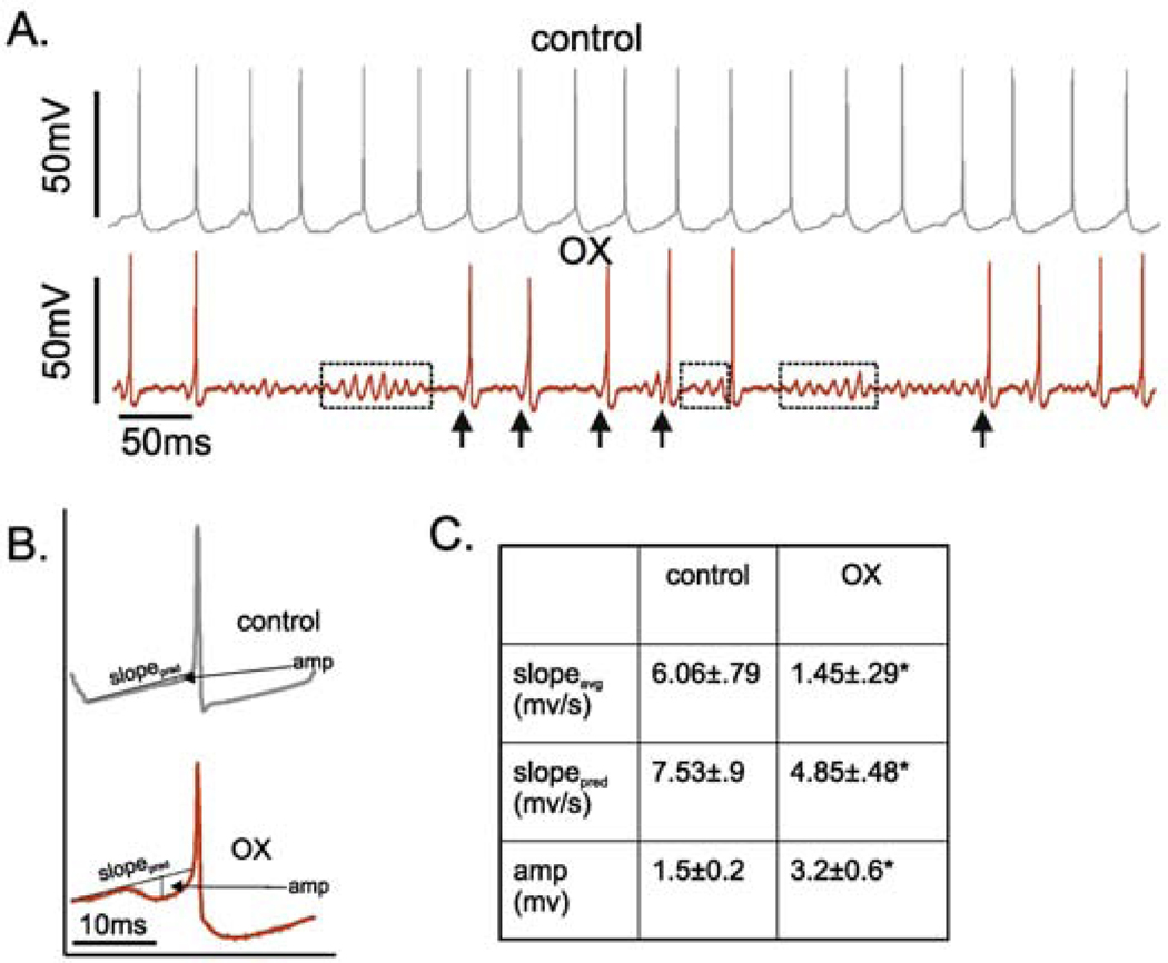 Figure 6.