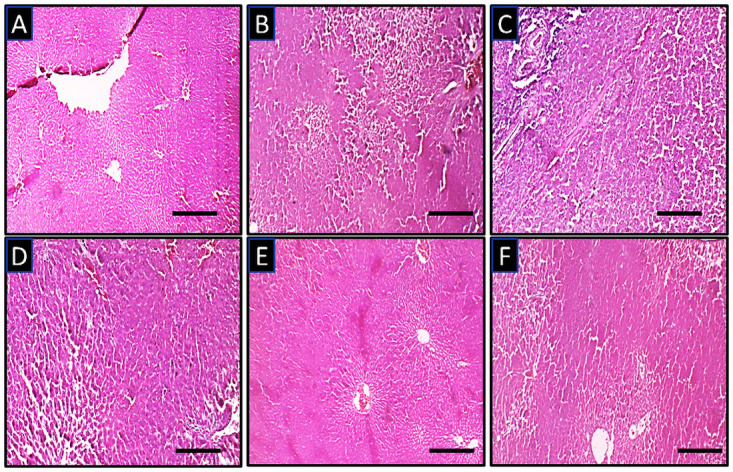 Fig 7