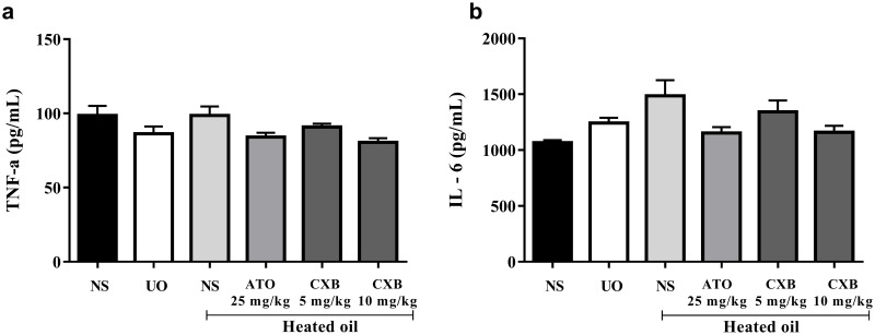 Fig 6