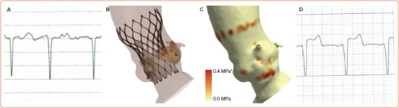 Figure 4: