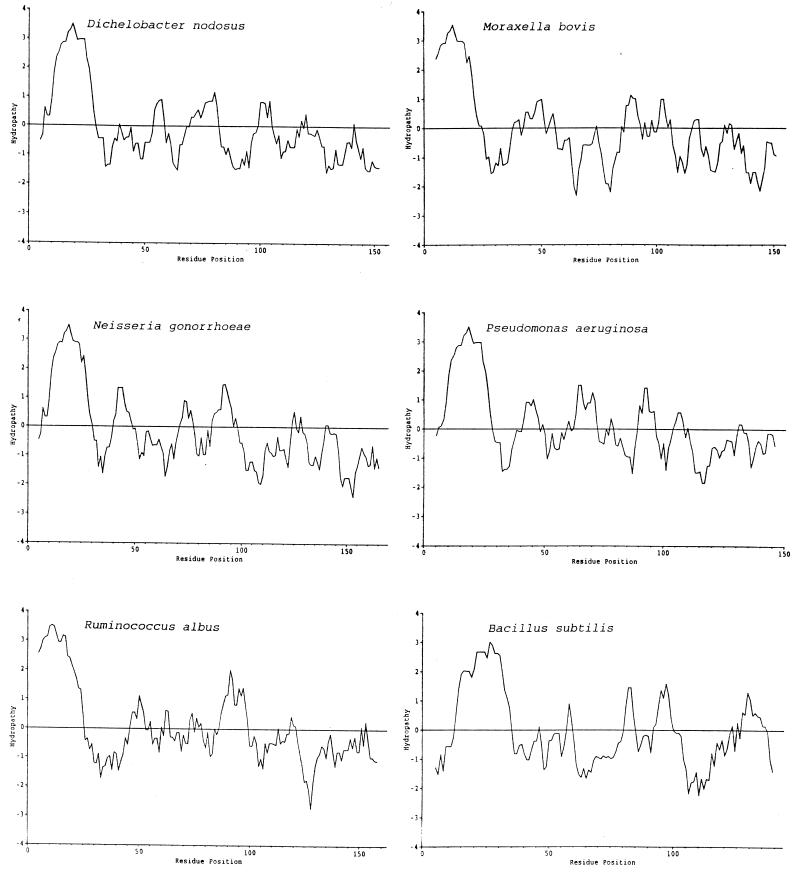 FIG. 7