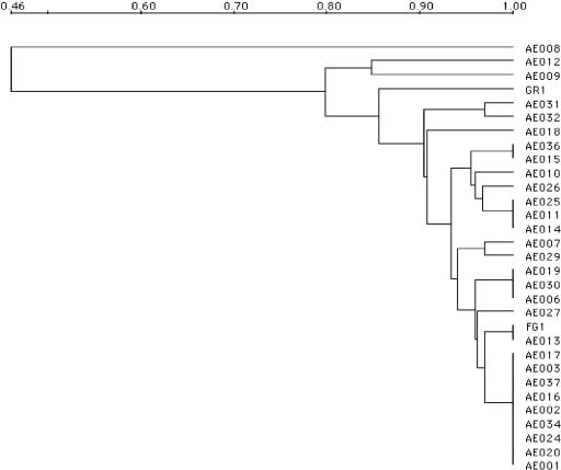 FIG. 2.