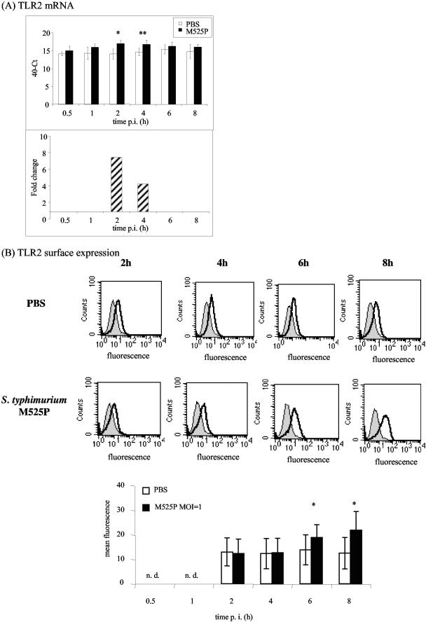 FIG.4.