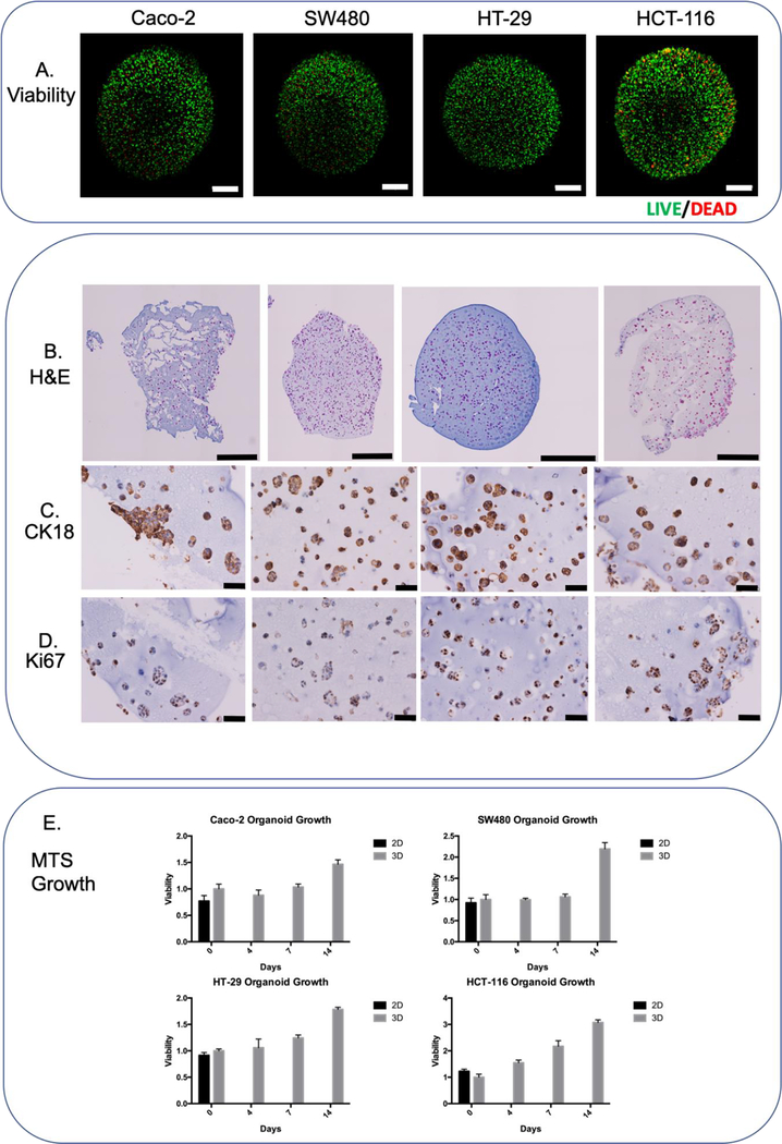 Figure 2-