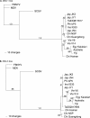 FIG. 6.