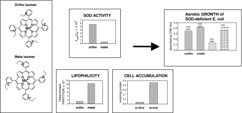 FIG. 7.